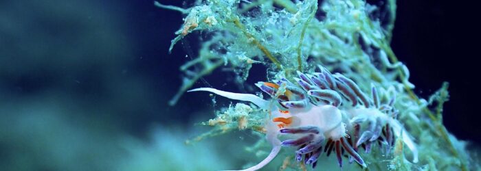 whatsapp image 2025 12 06 at 5.48.42 pm